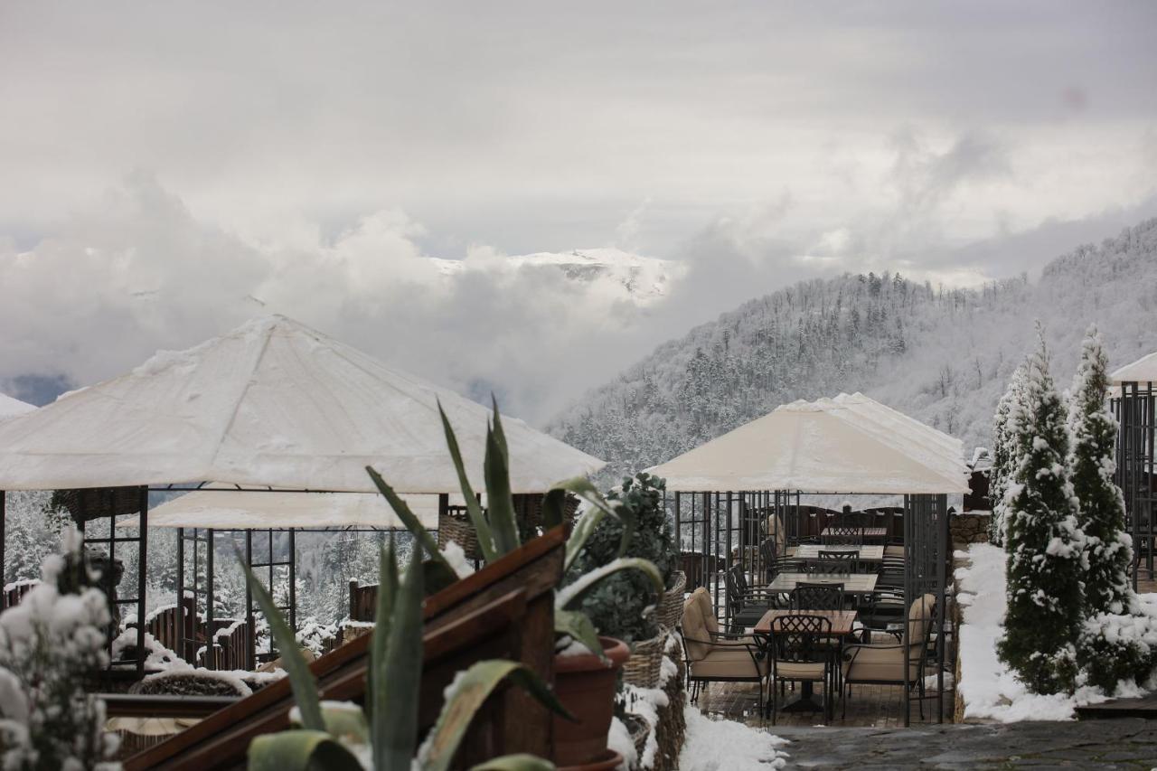 Alpine Castle Hotel ديليجان المظهر الخارجي الصورة