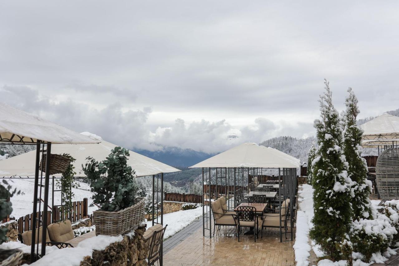 Alpine Castle Hotel ديليجان المظهر الخارجي الصورة