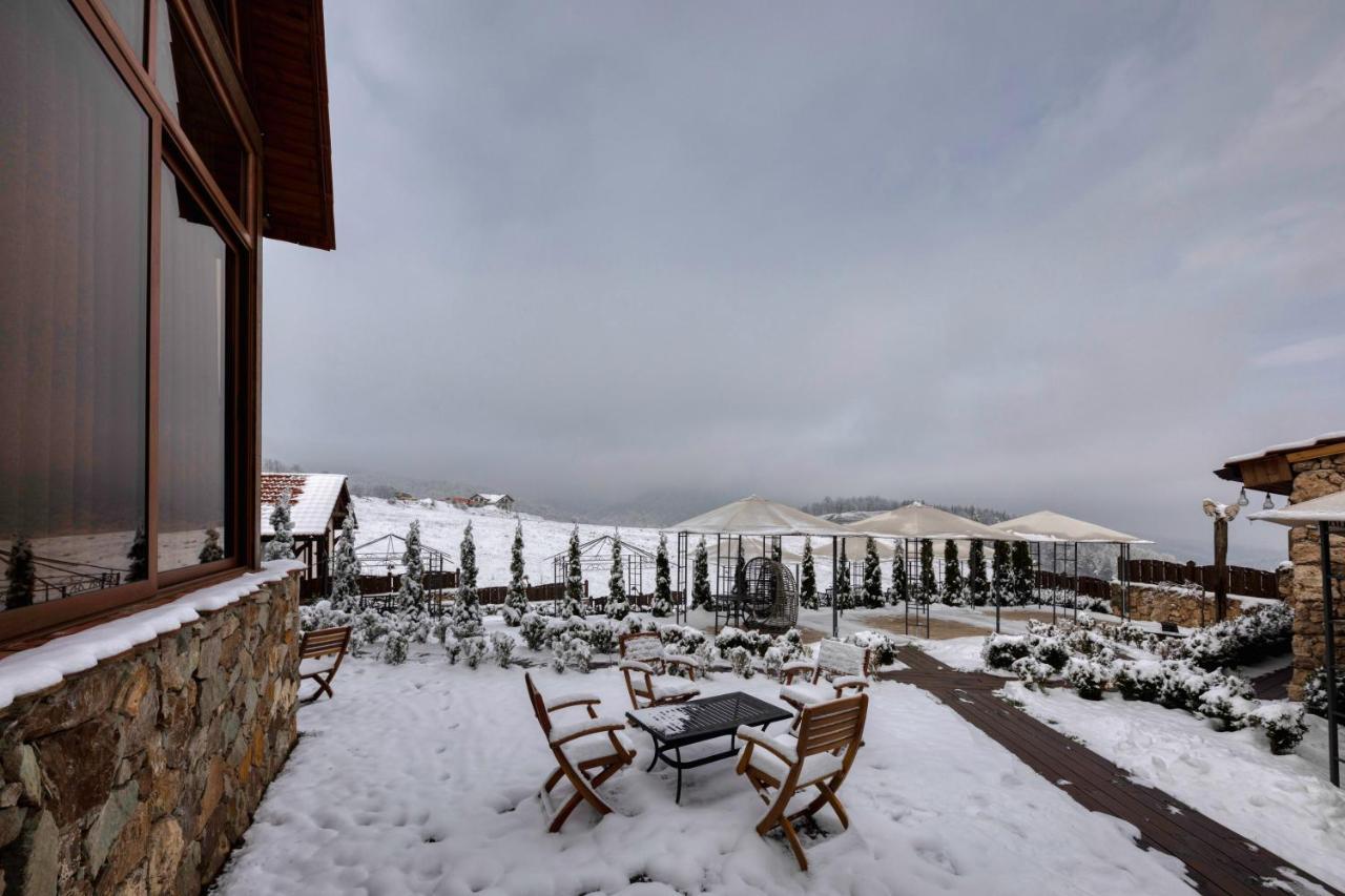 Alpine Castle Hotel ديليجان المظهر الخارجي الصورة