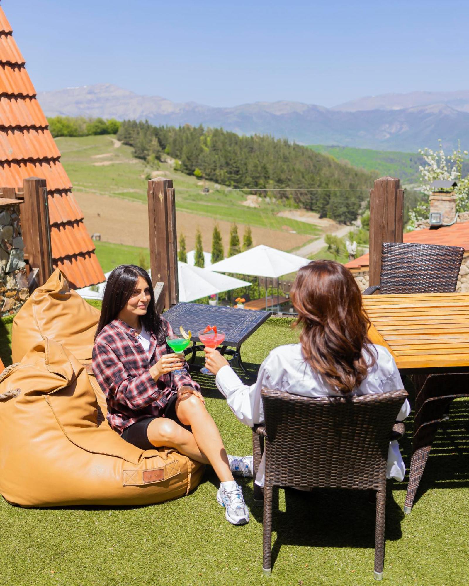 Alpine Castle Hotel ديليجان المظهر الخارجي الصورة